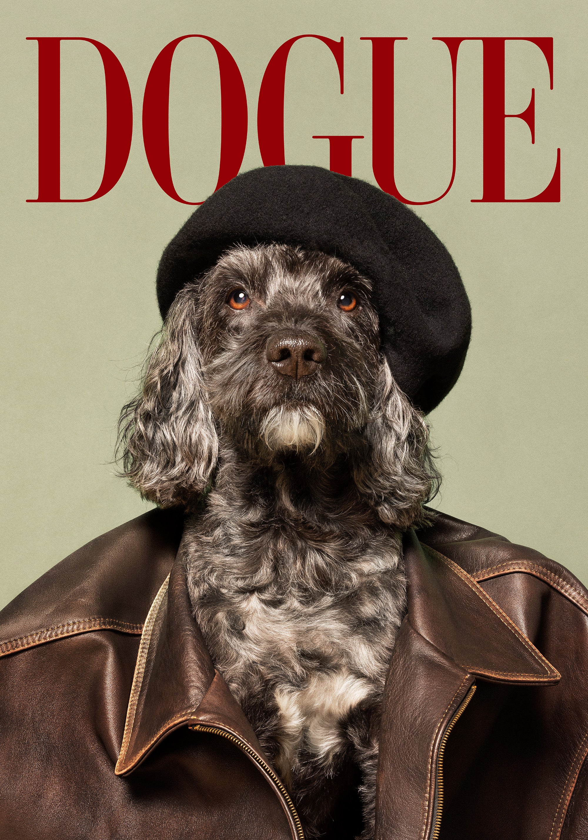 Dogue No4 Print
