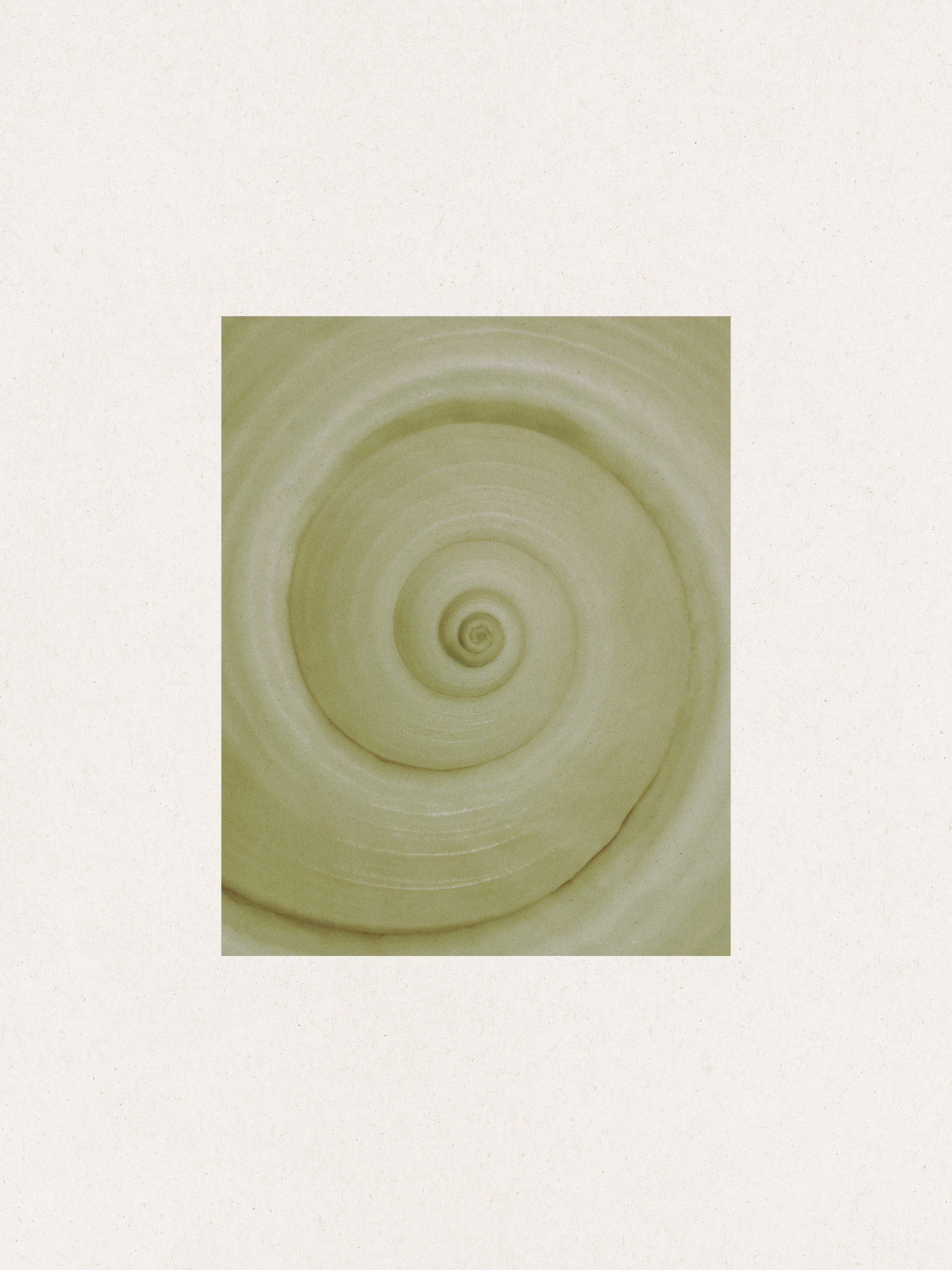 Spiral Study Print