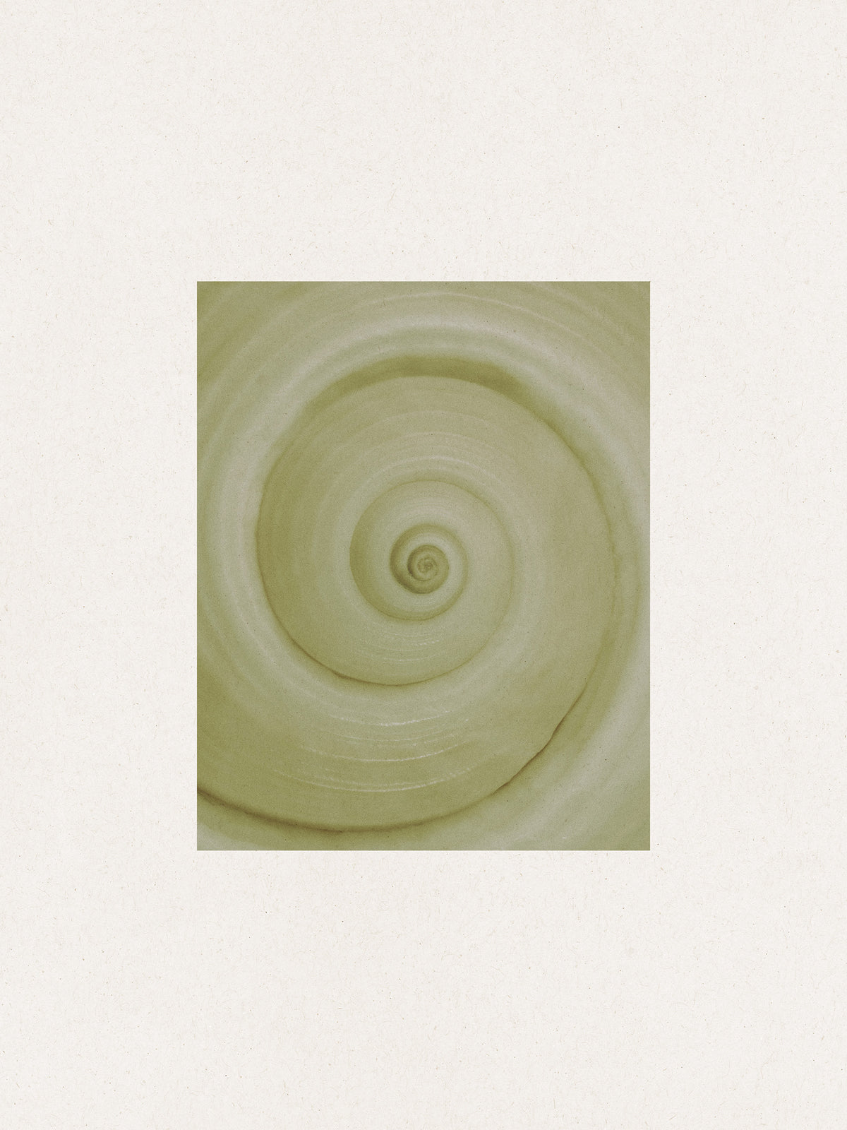 Spiral Study Print