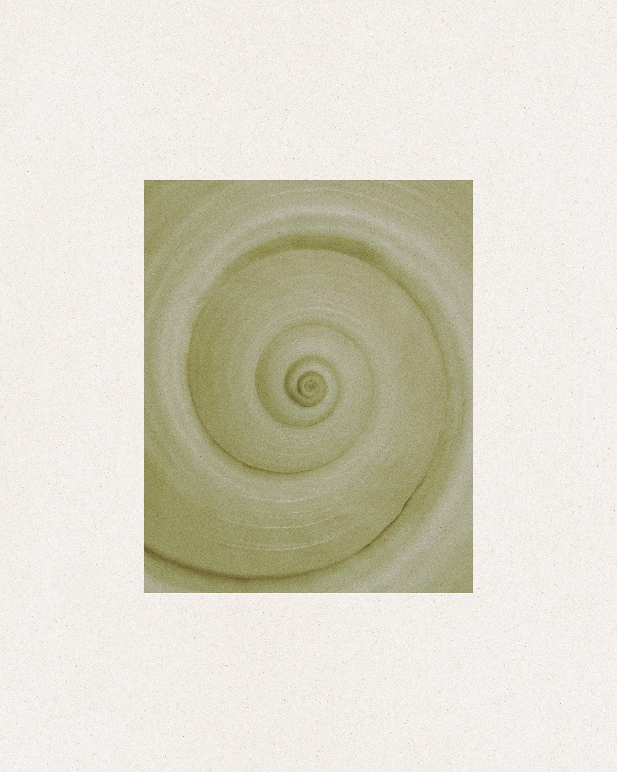 Spiral Study Print