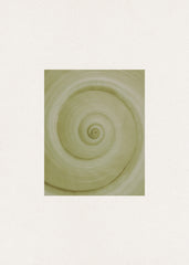 Spiral Study Print