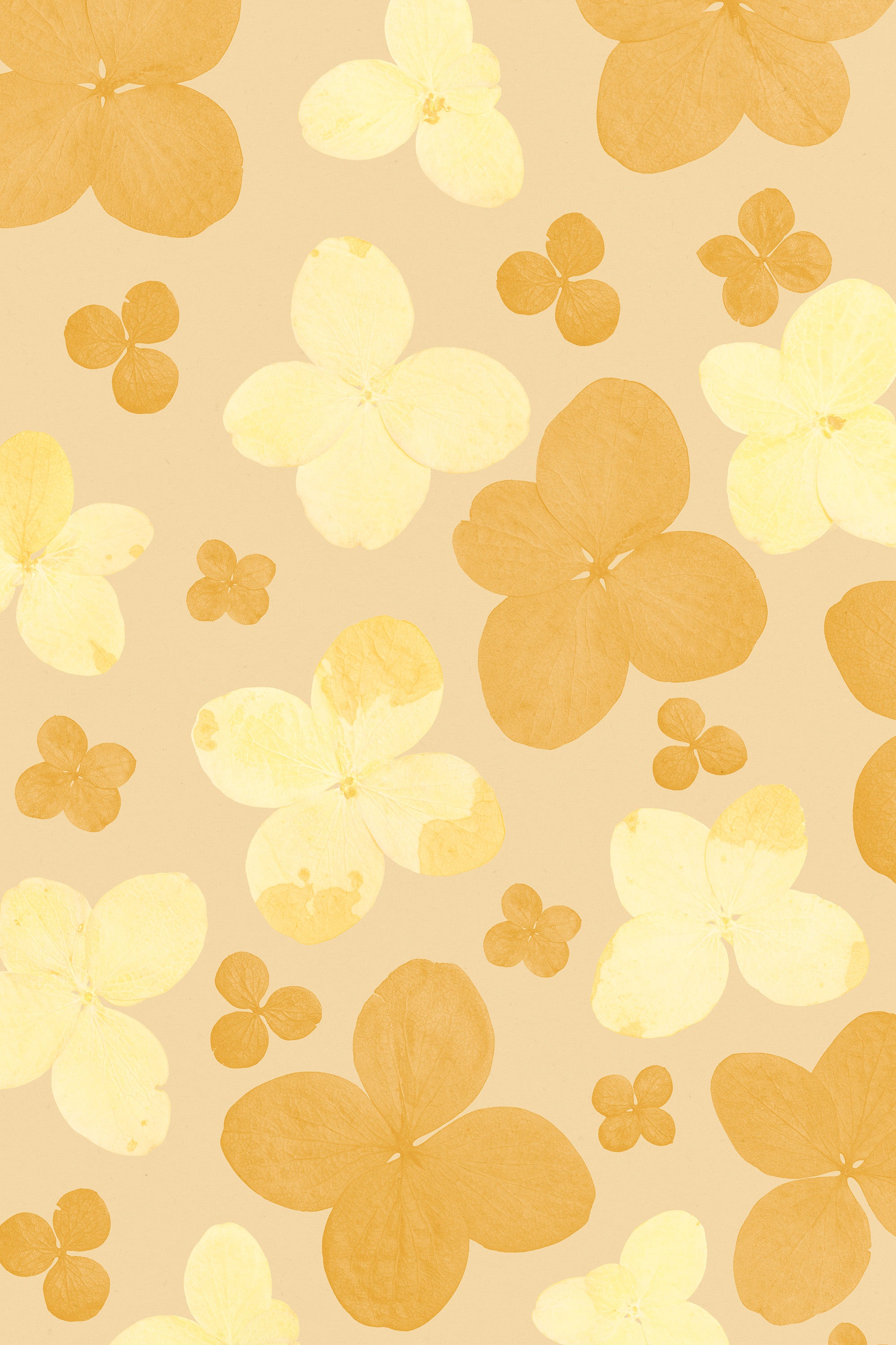 Bloom Room Print