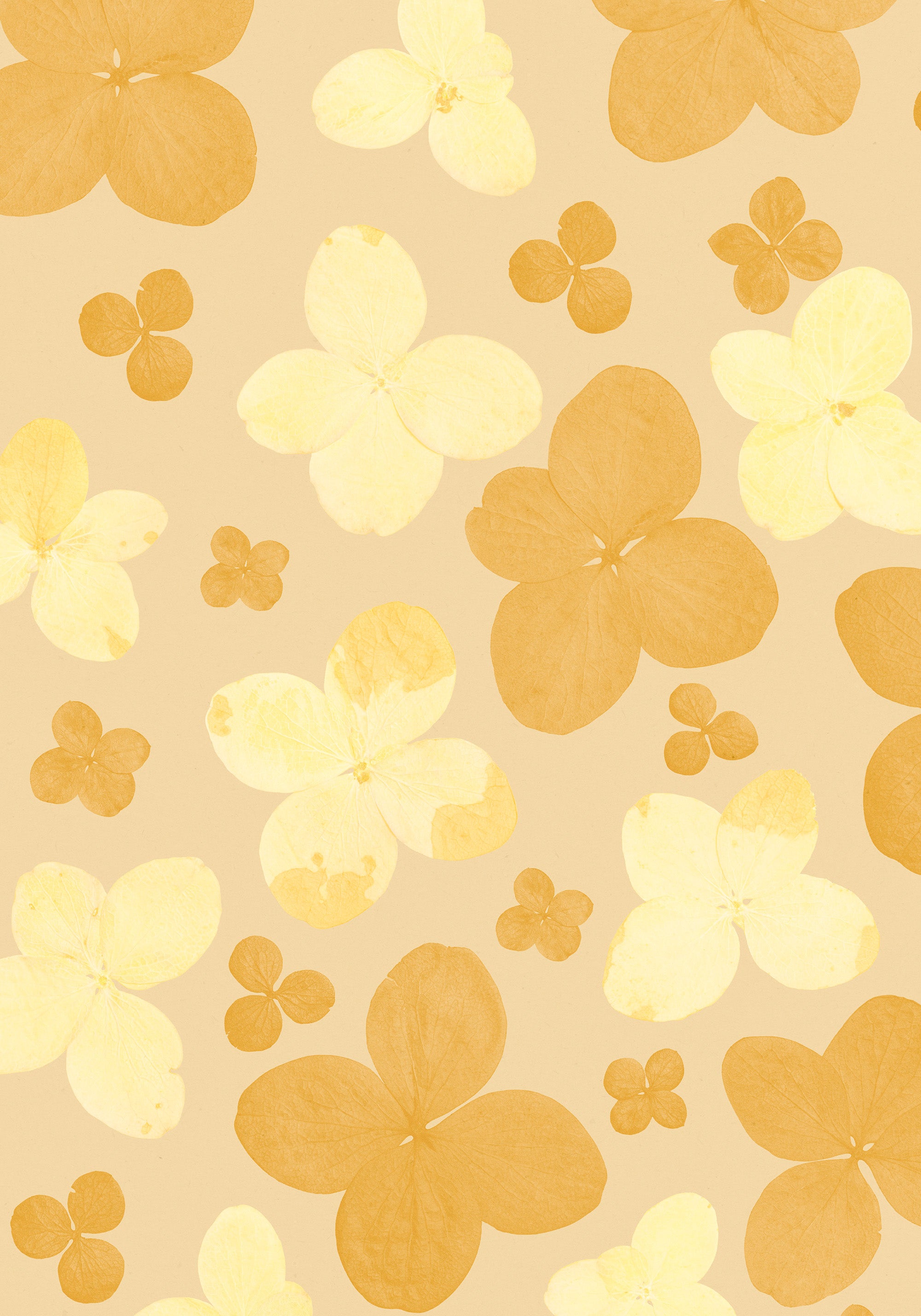 Bloom Room Print