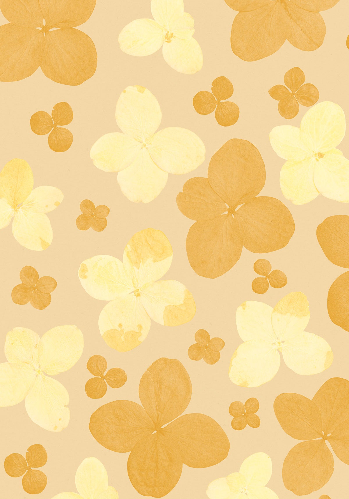 Bloom Room Print