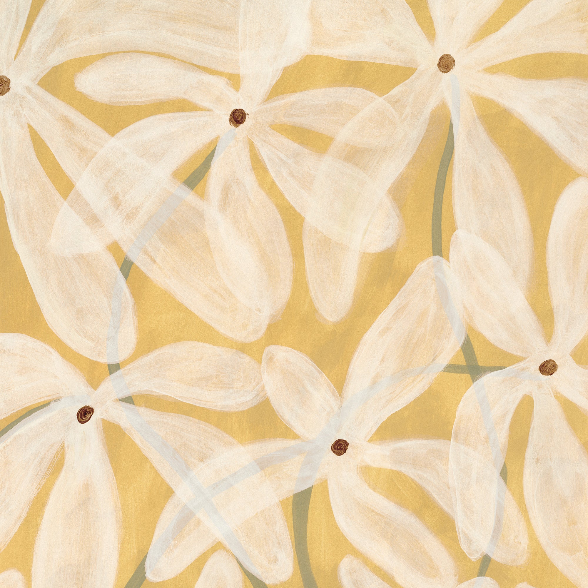 Sheer Florals Print