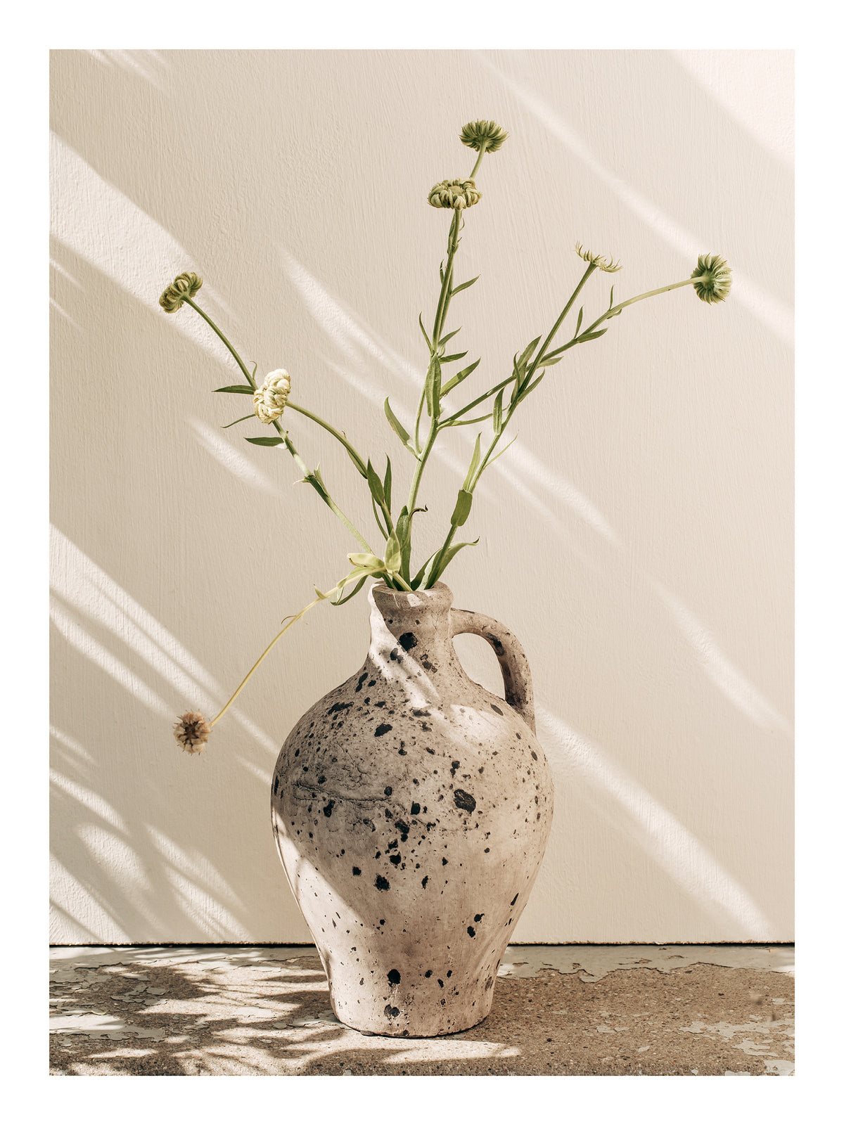 Sunlit Vase Print