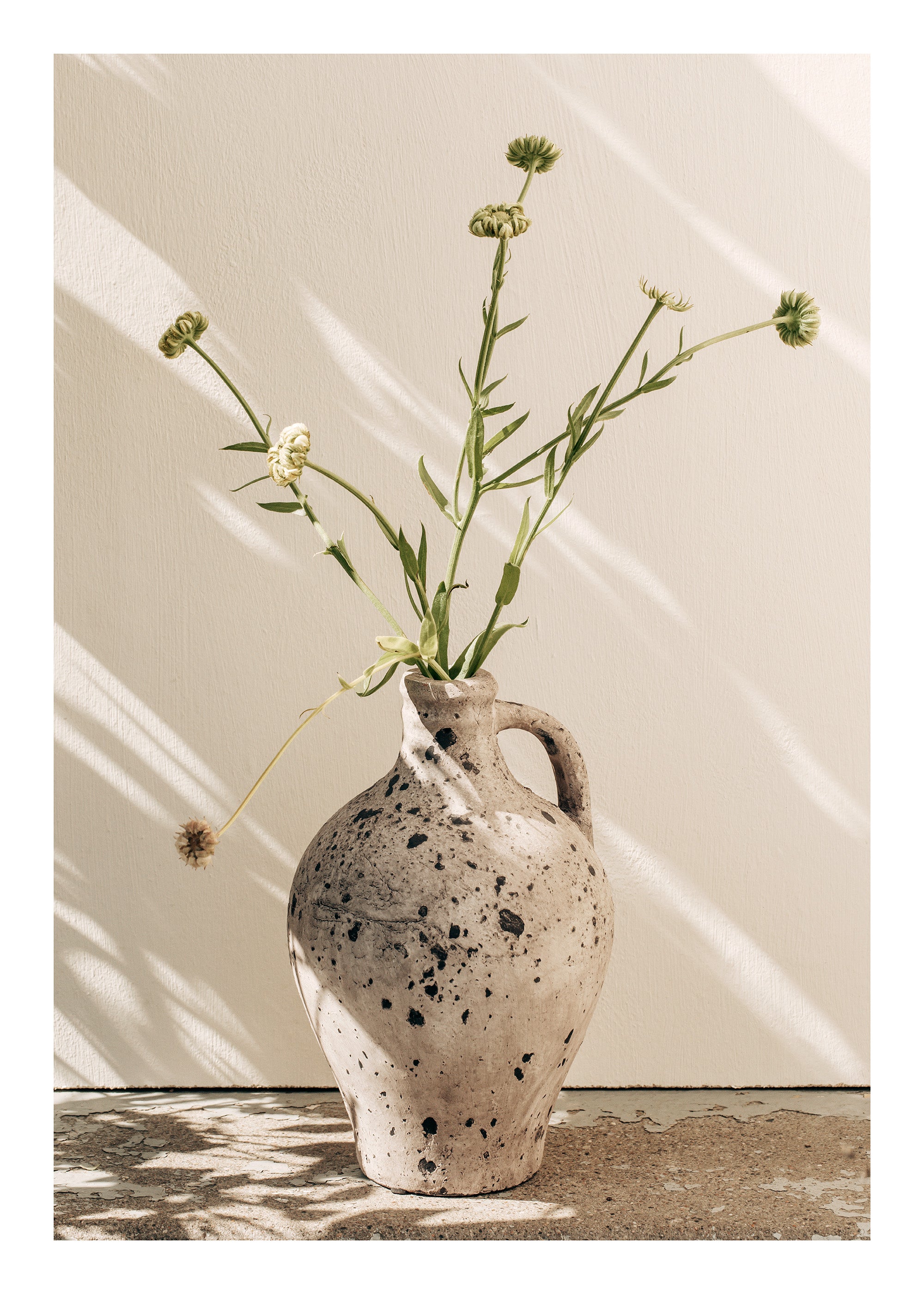 Sunlit Vase Print