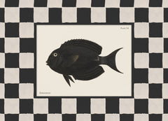 Vintage Surgeonfish Print
