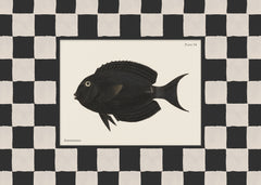 Vintage Surgeonfish Print