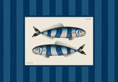 Vintage Pilot Fish Print