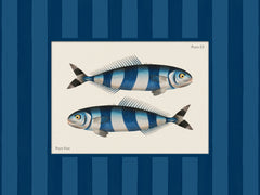 Vintage Pilot Fish Print