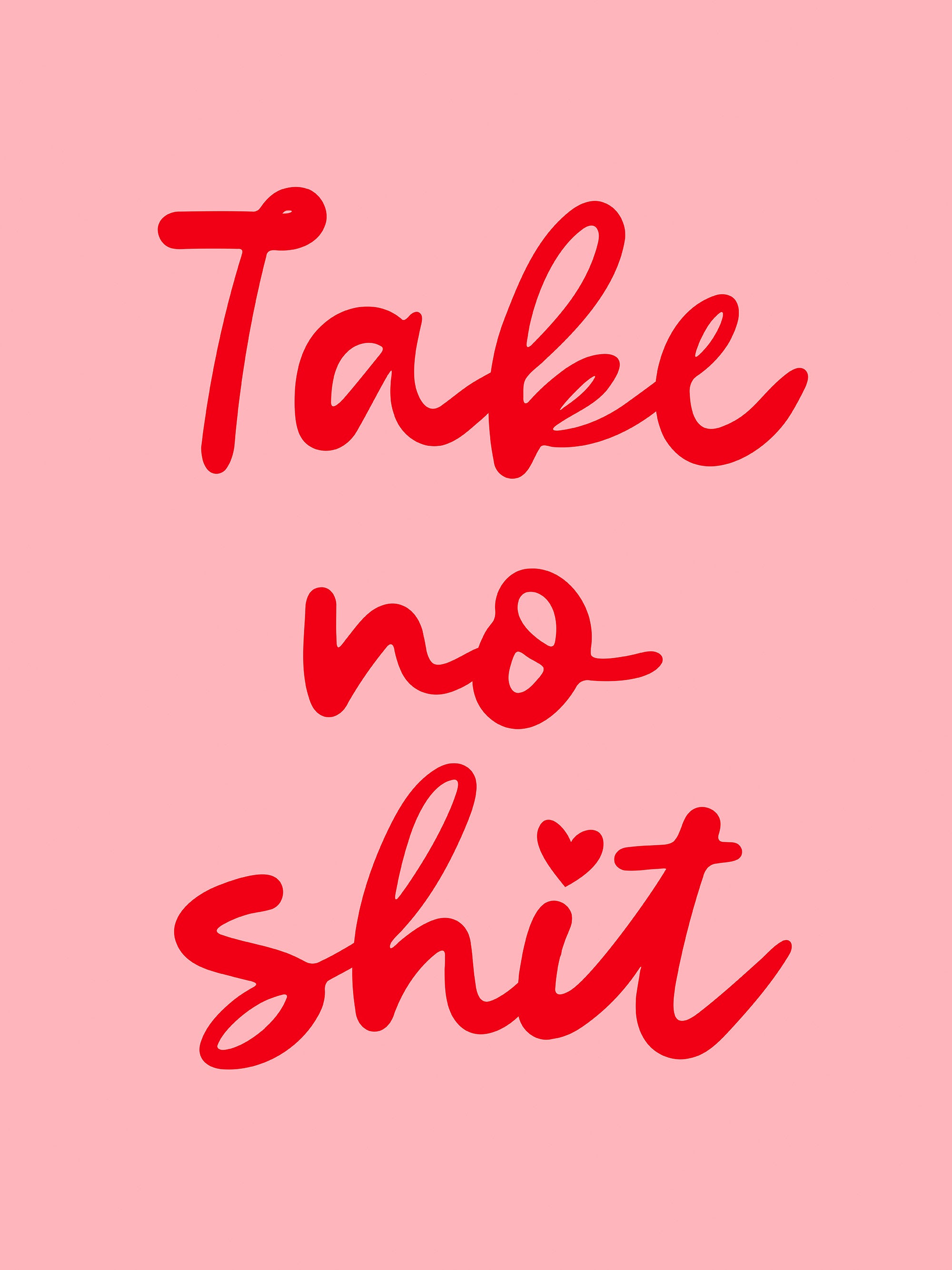 Take no Shit Print