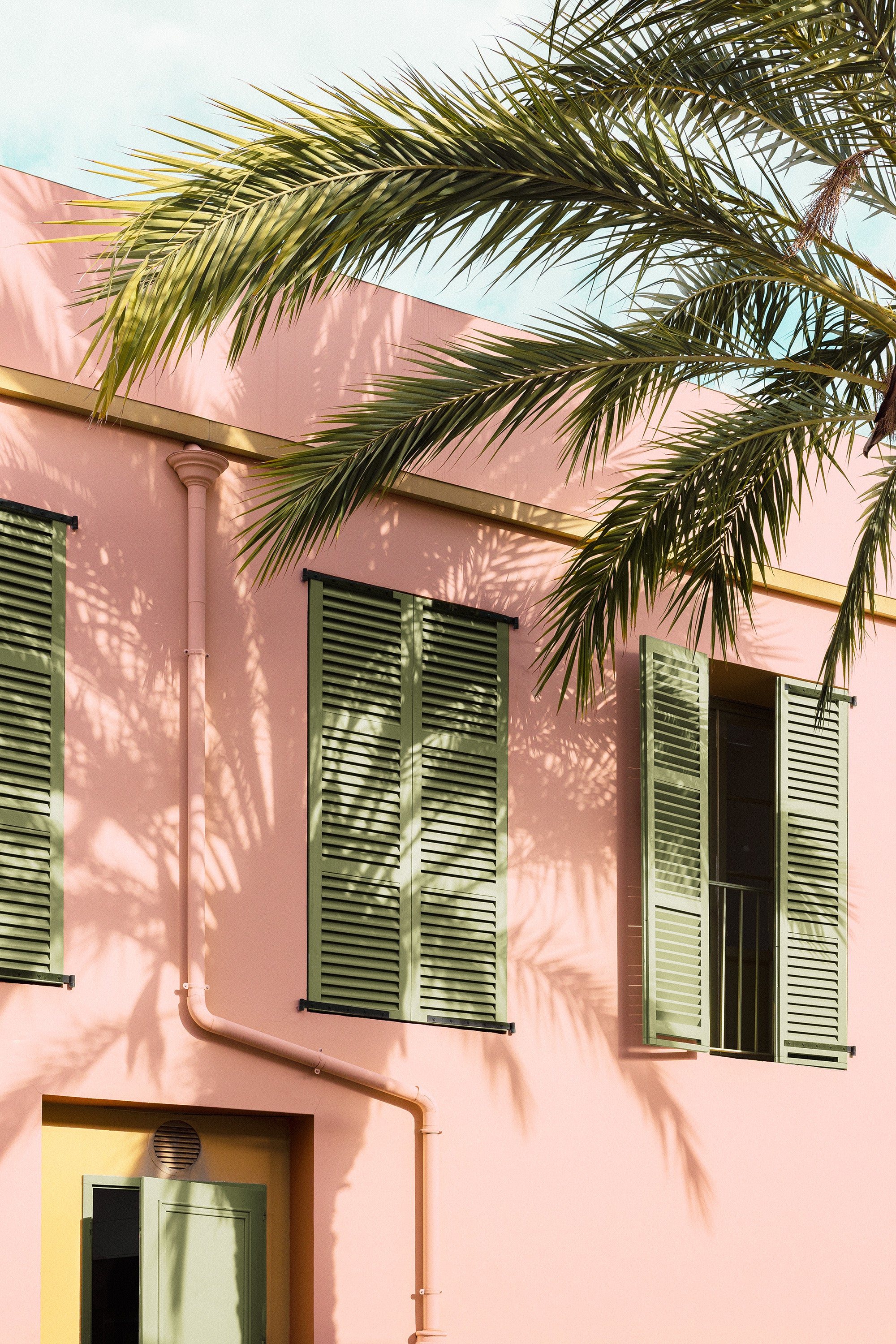 Palm and Pastel Print