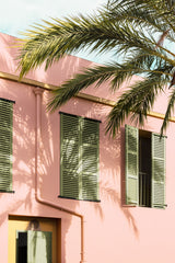Palm and Pastel Print