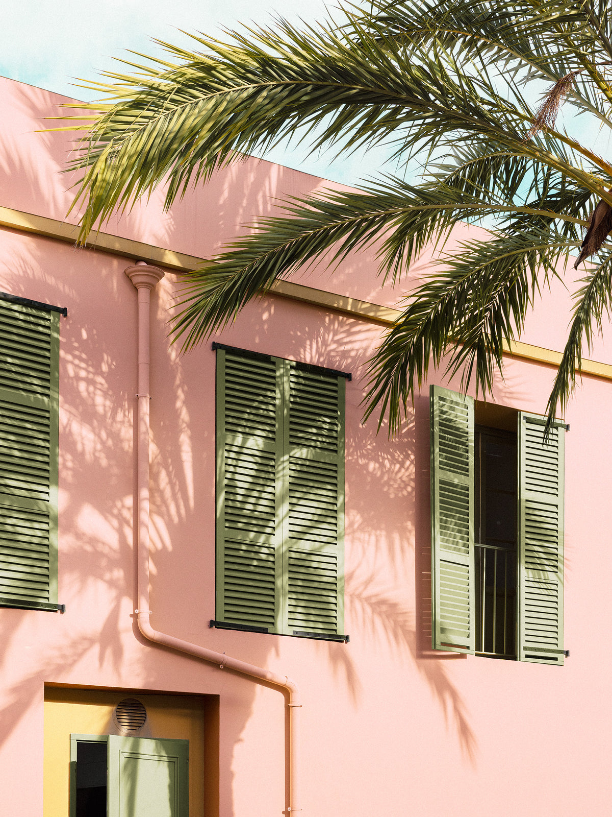 Palm and Pastel Print