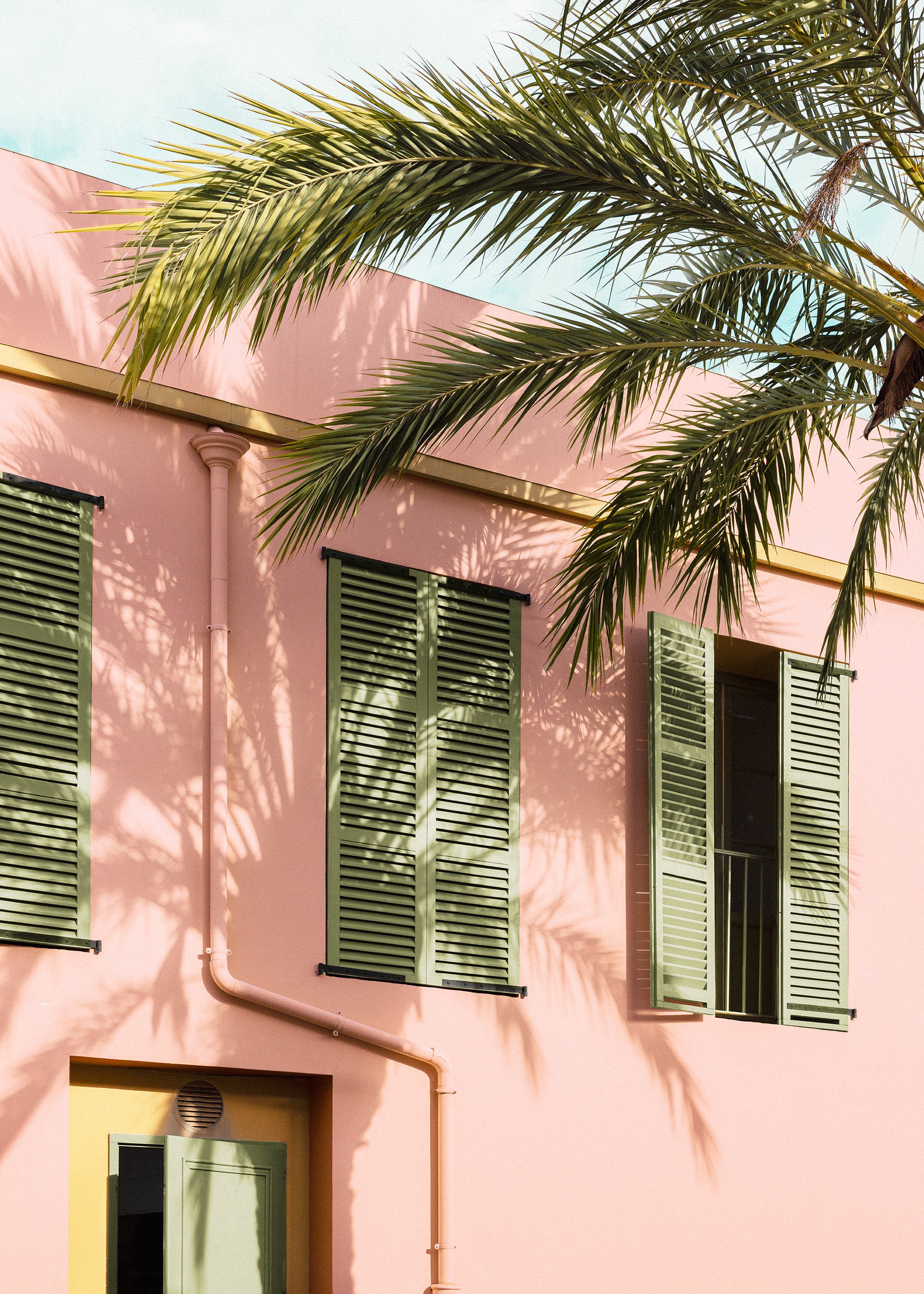 Palm and Pastel Print