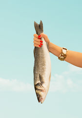 Catch of the Day Print