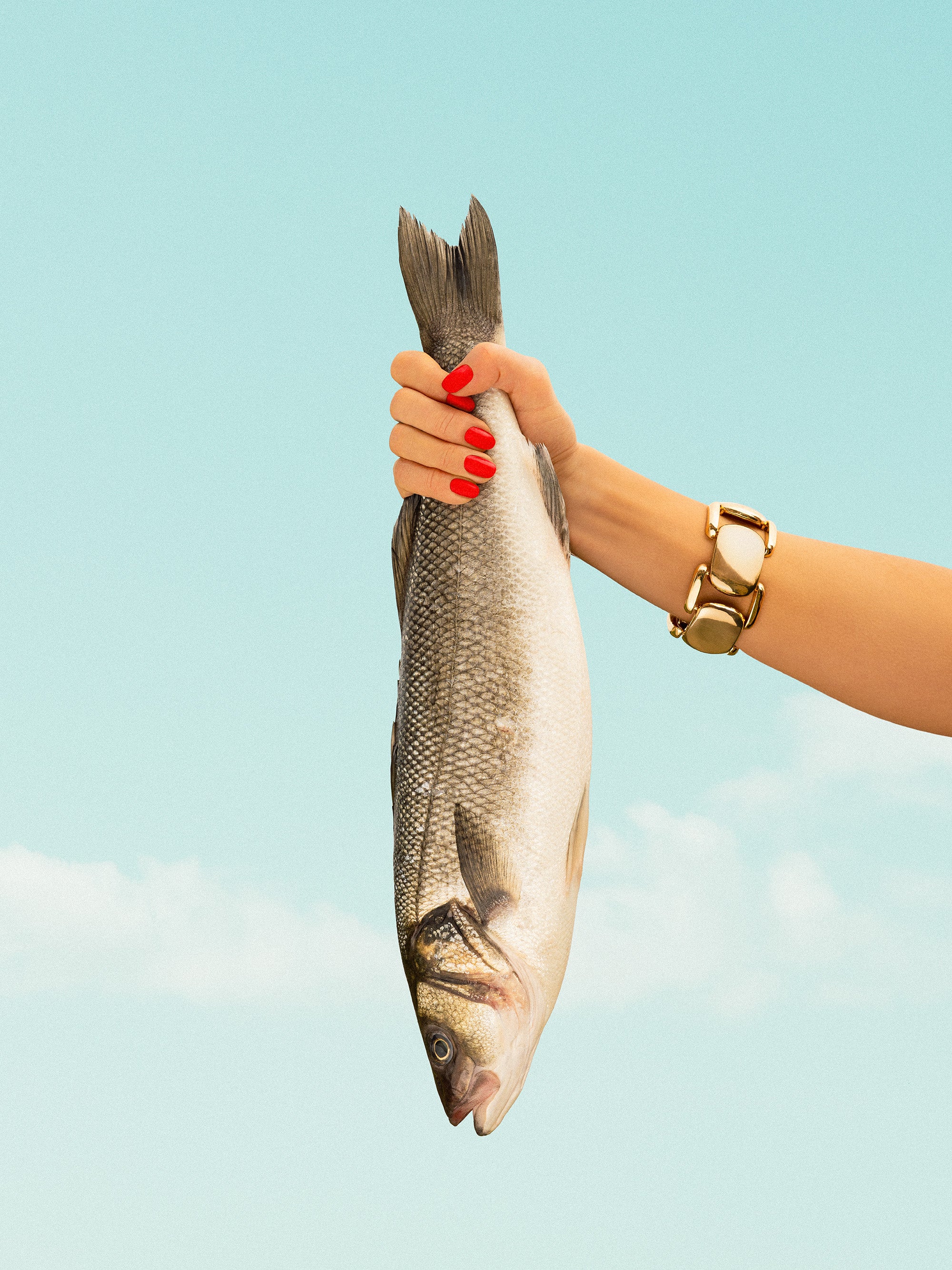 Catch of the Day Print