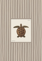 Vintage Sea Turtle Print