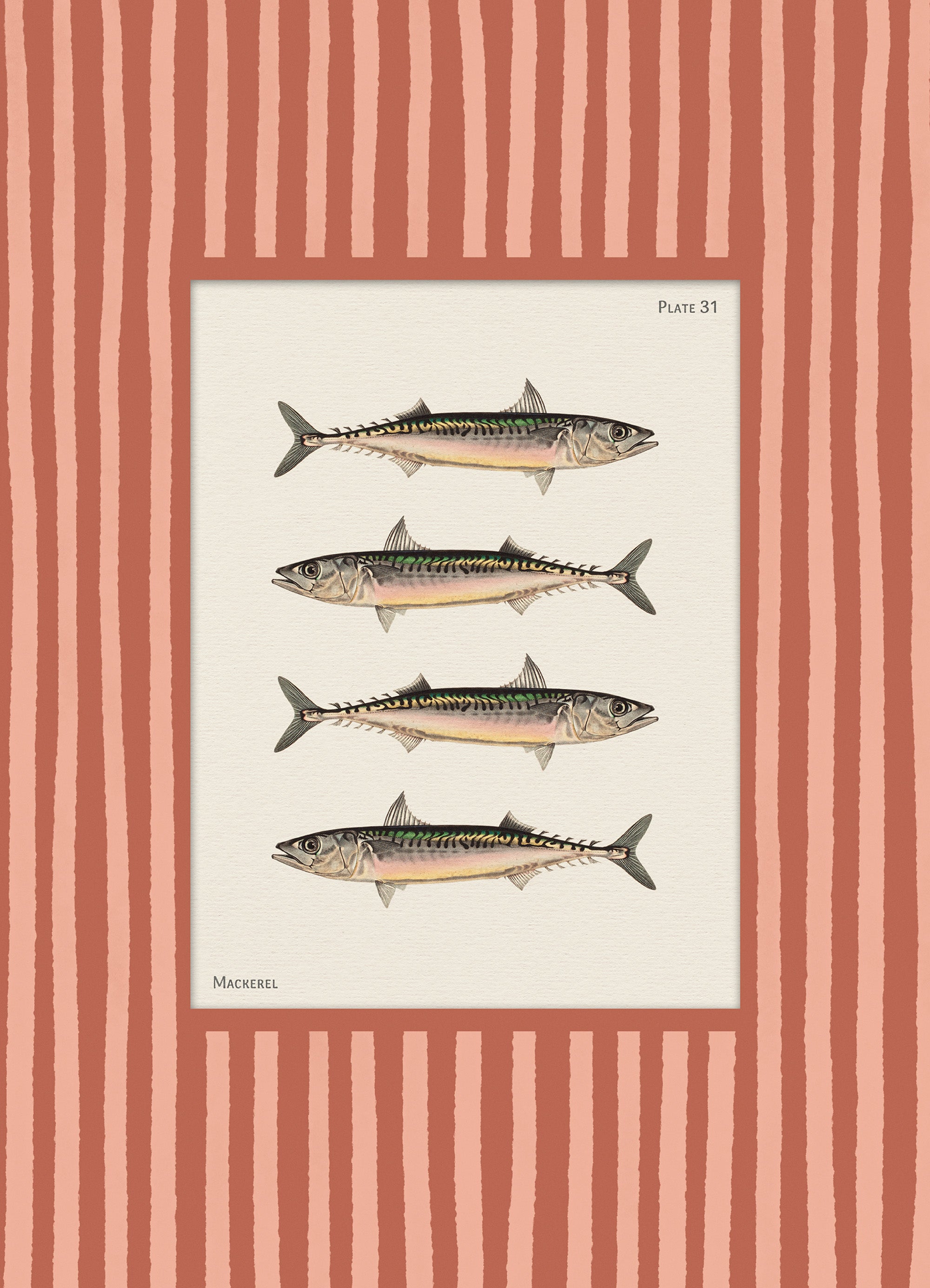 Vintage Mackerel Print