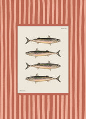 Vintage Mackerel Print