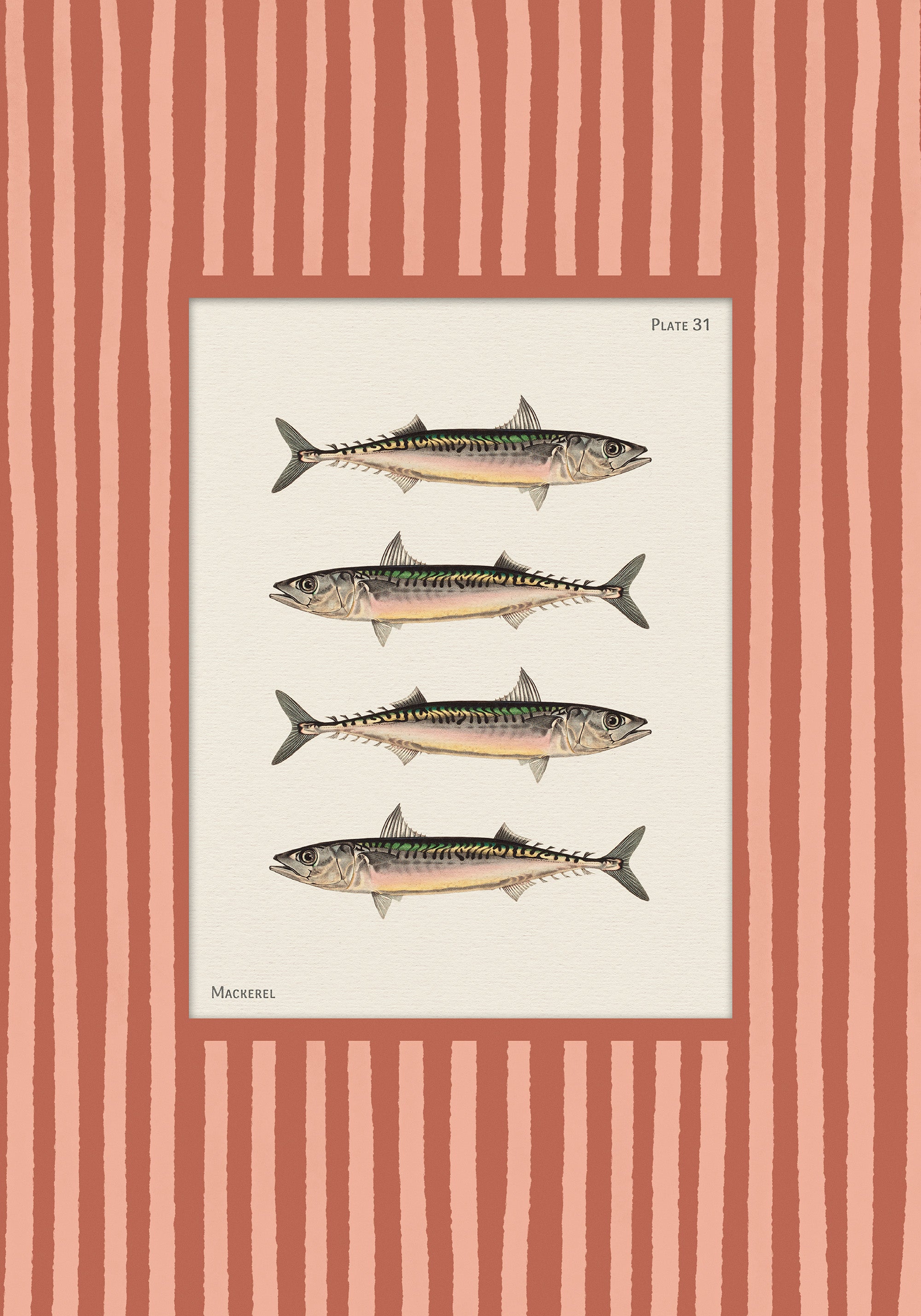 Vintage Mackerel Print