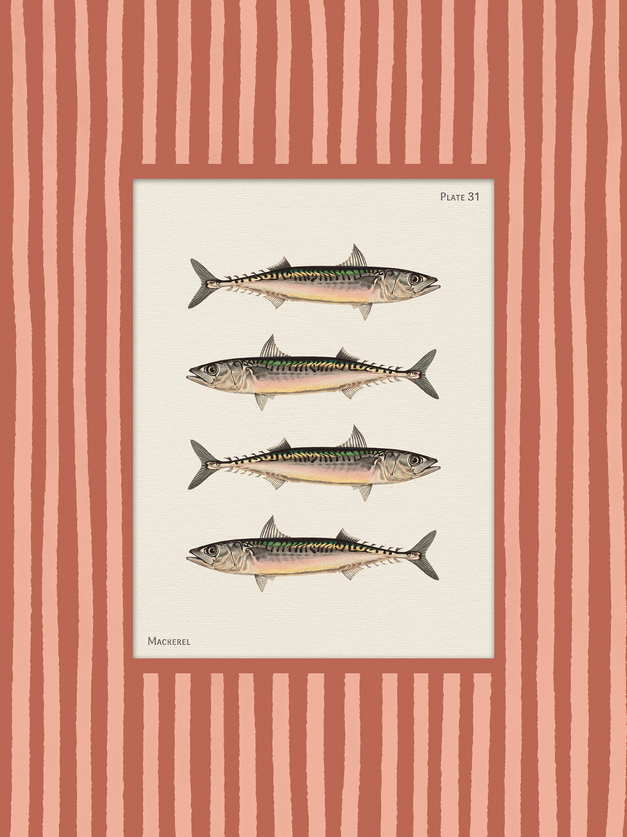 Vintage Mackerel Print