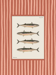 Vintage Mackerel Print