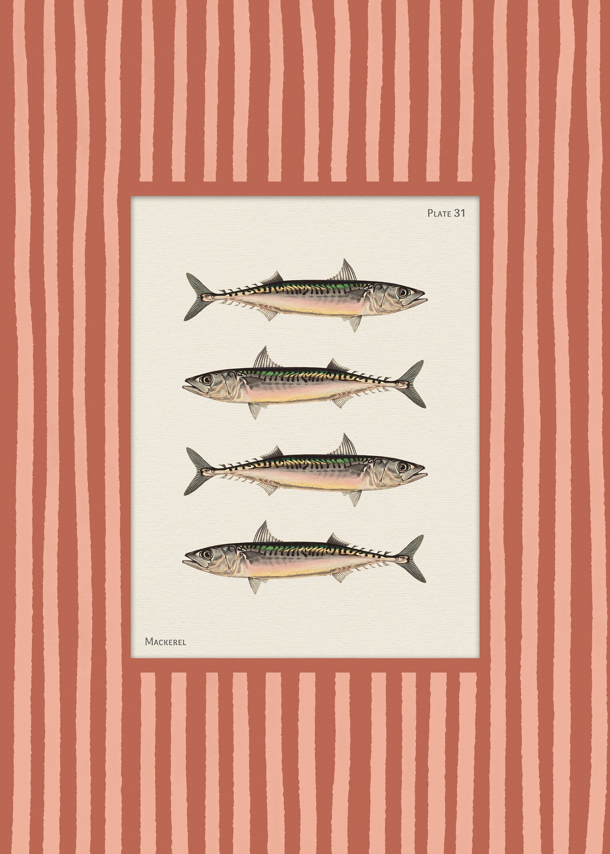 Vintage Mackerel Print