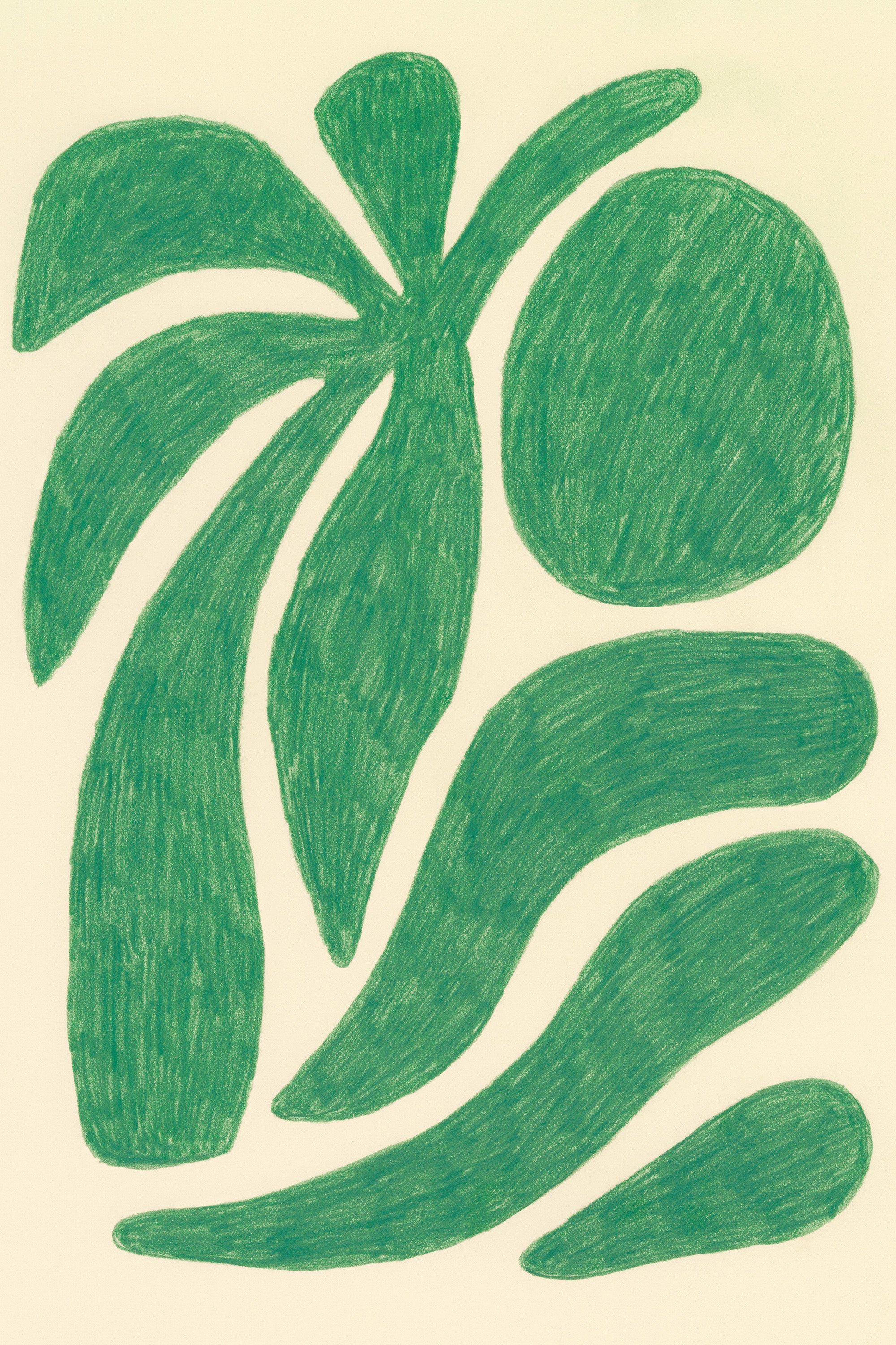 Palm Beach Print