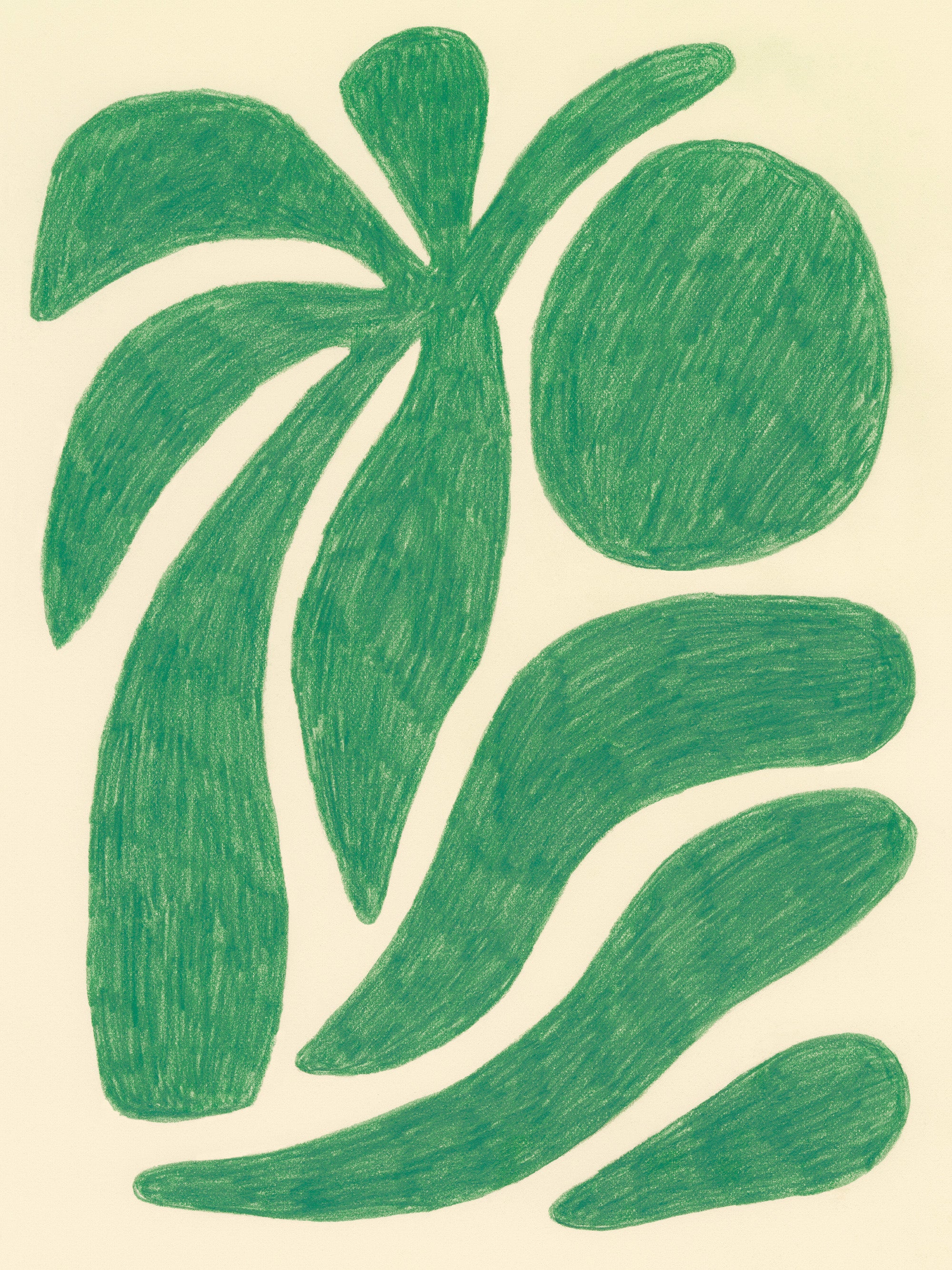 Palm Beach Print