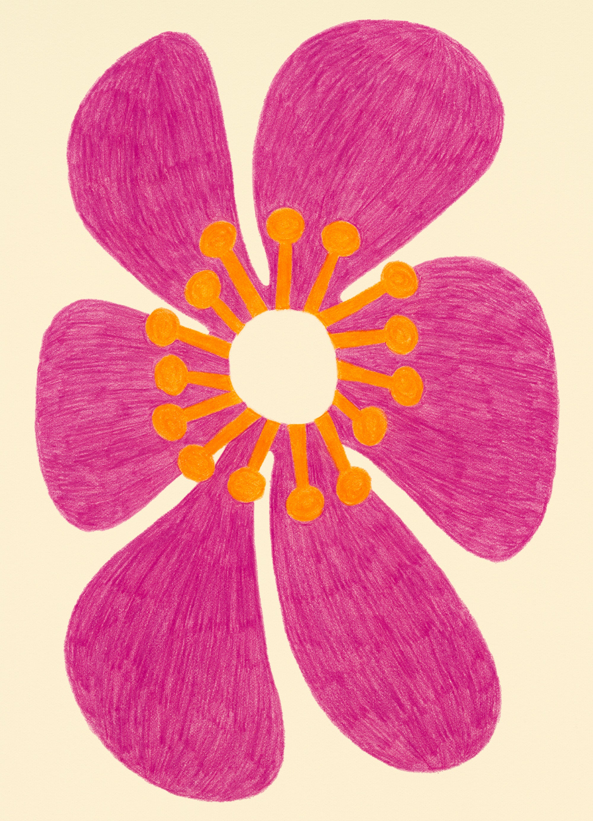 Sol Bloom Print