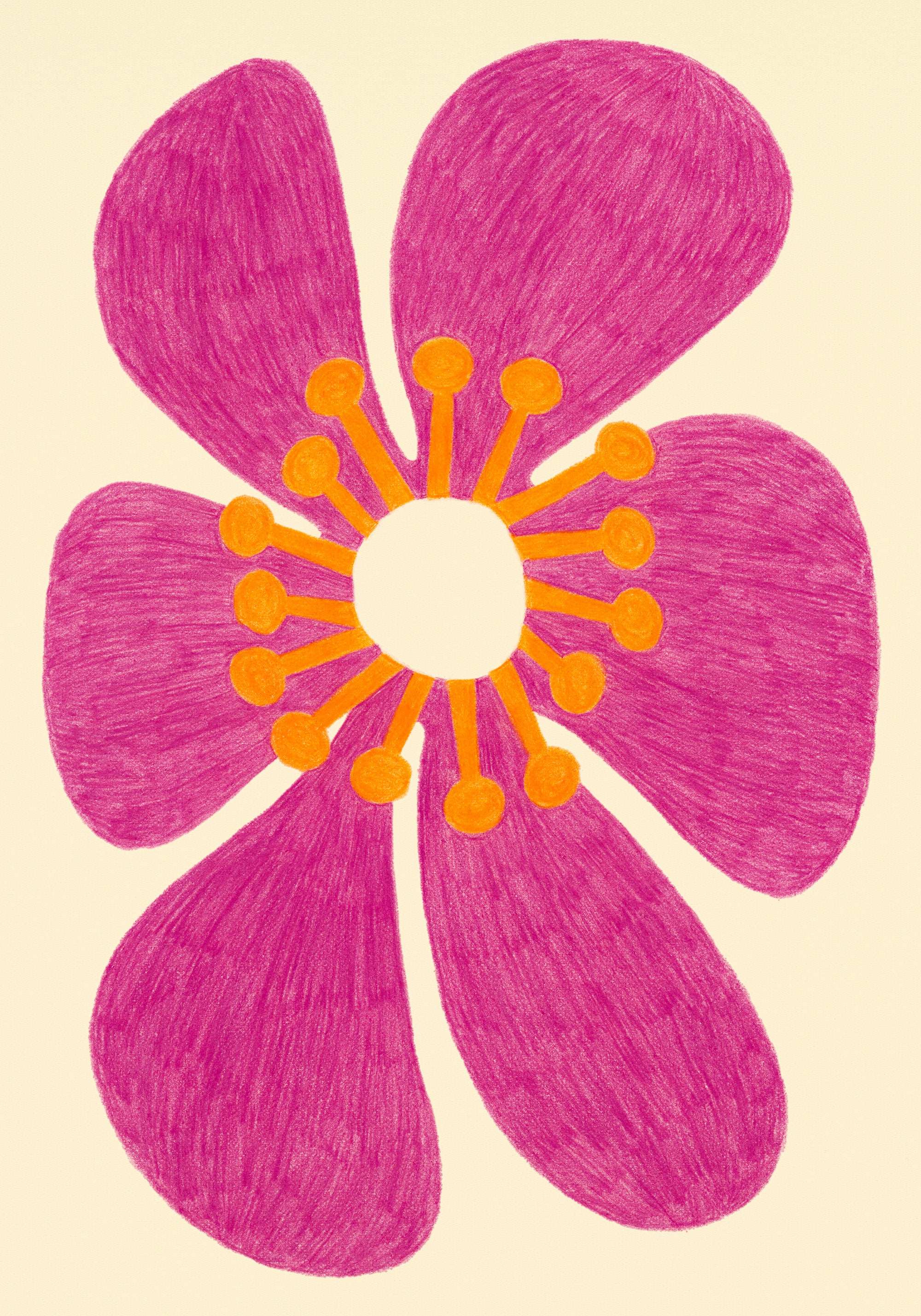 Sol Bloom Print