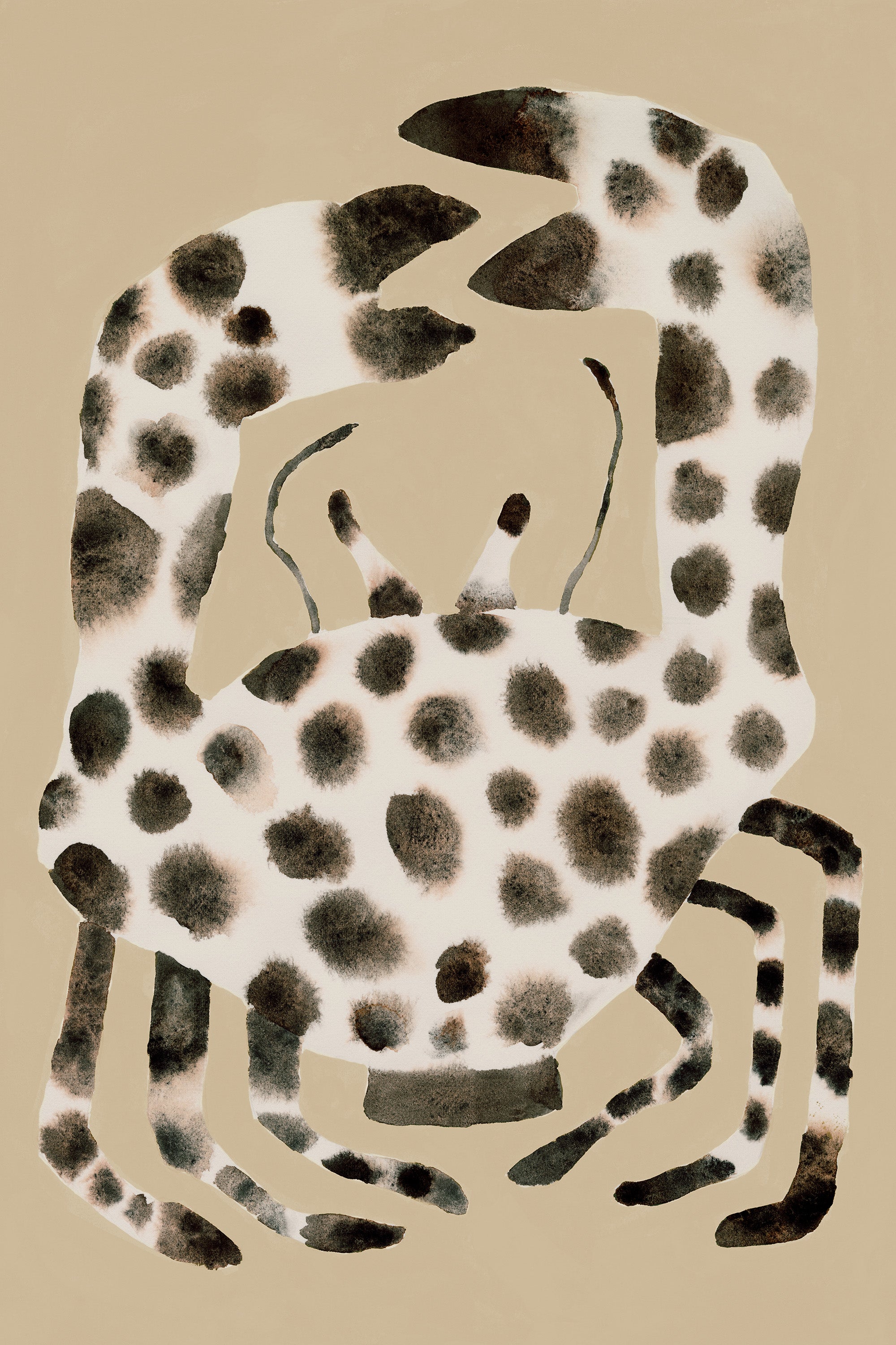 Spotted Crab Print