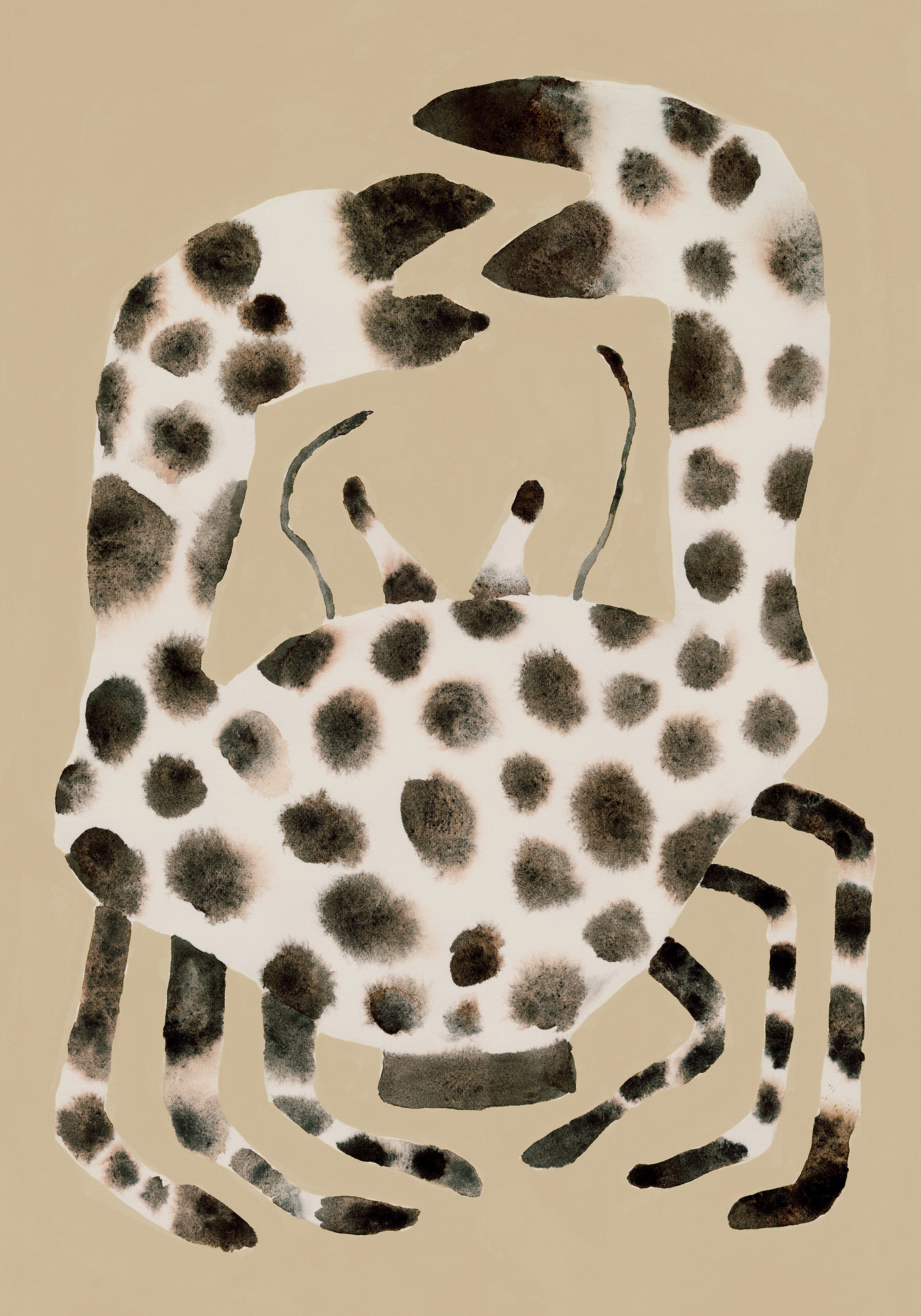 Spotted Crab Print