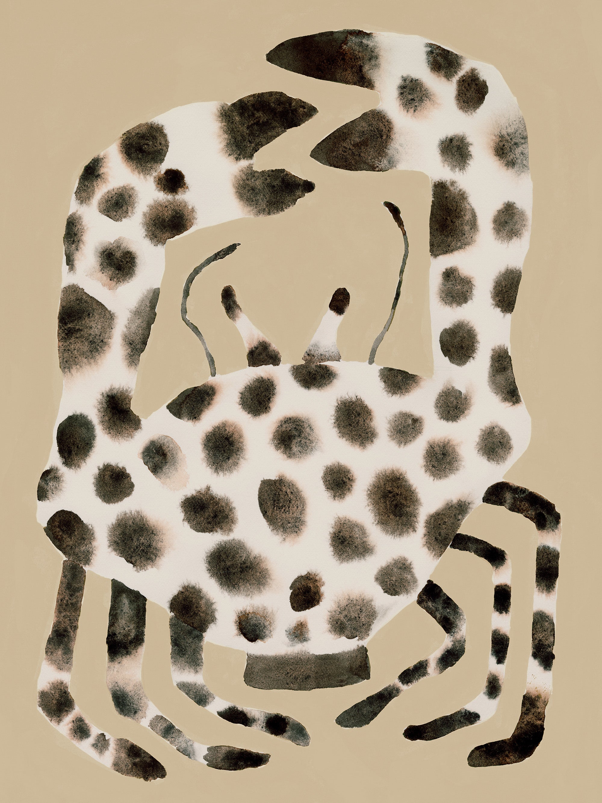 Spotted Crab Print