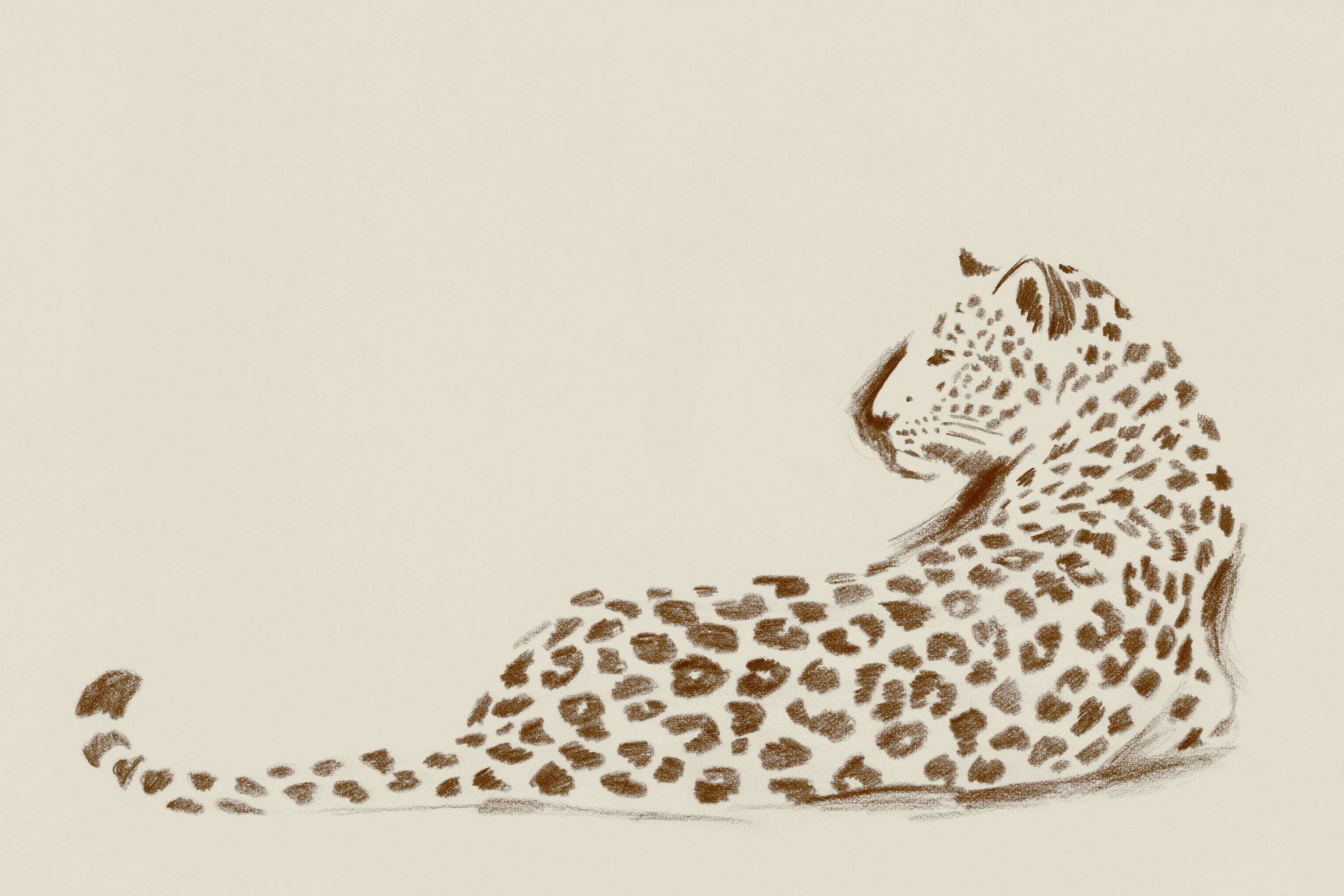 Wild Pause Print