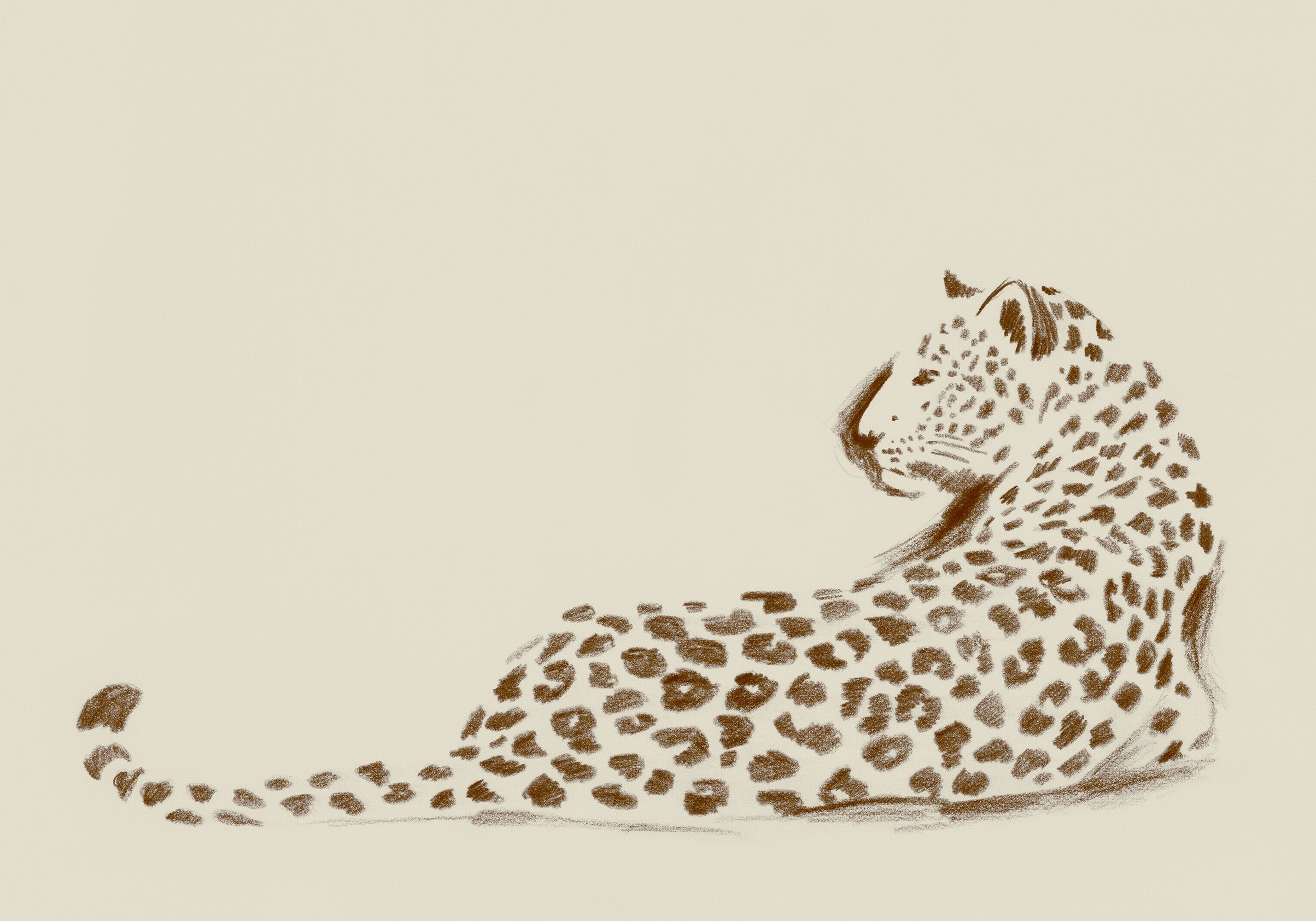 Wild Pause Print