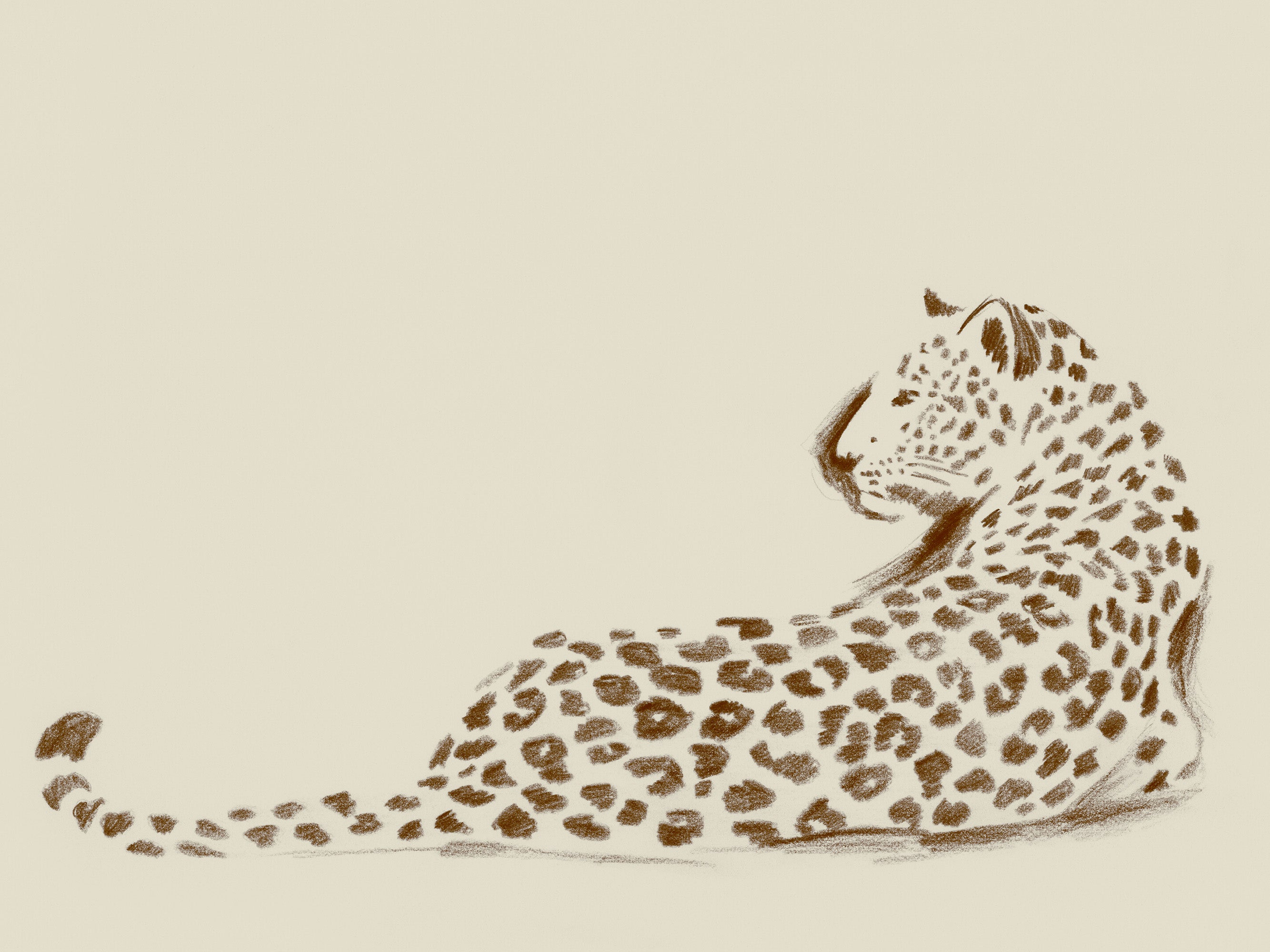 Wild Pause Print