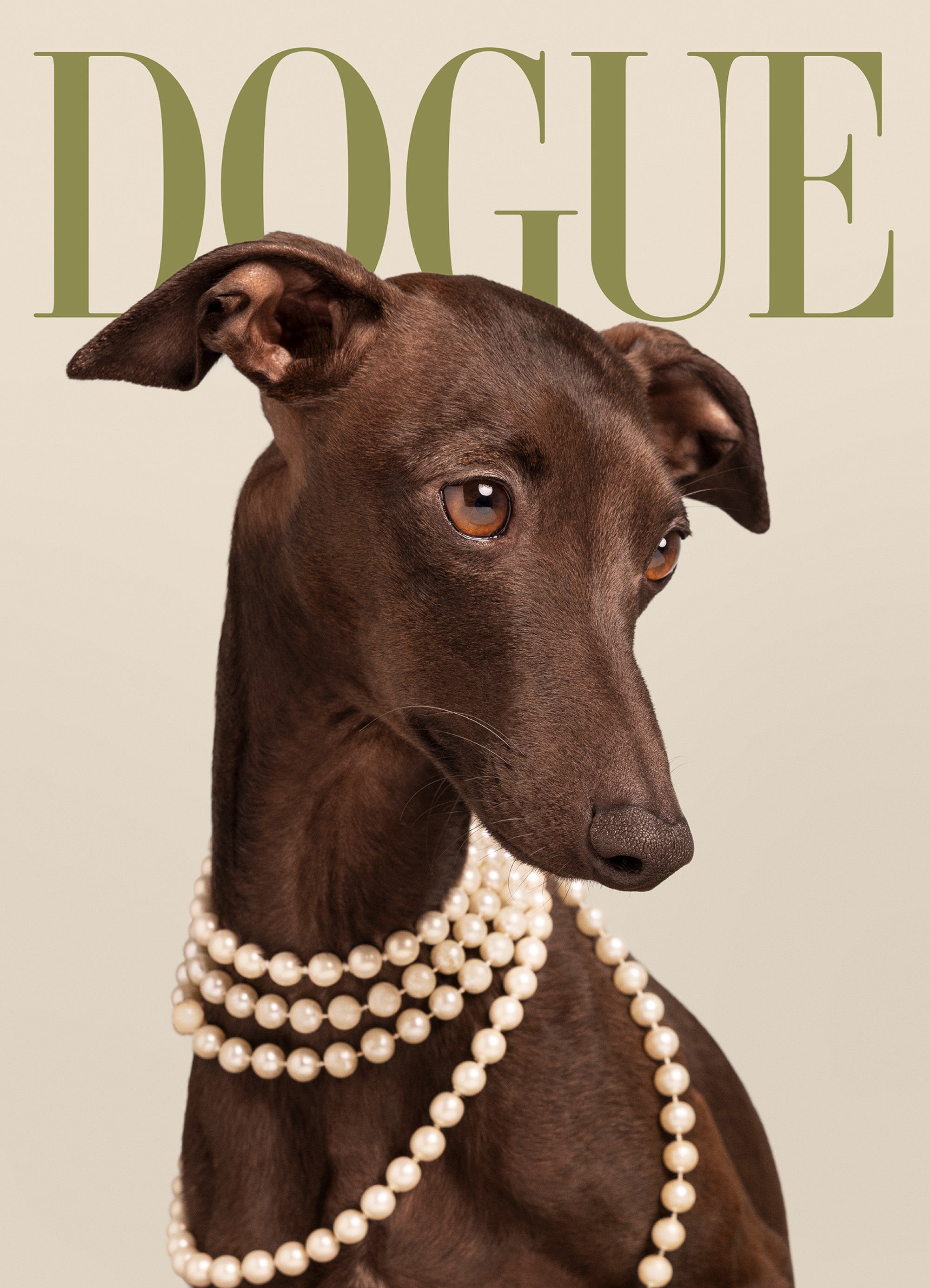 Dogue No5 Print