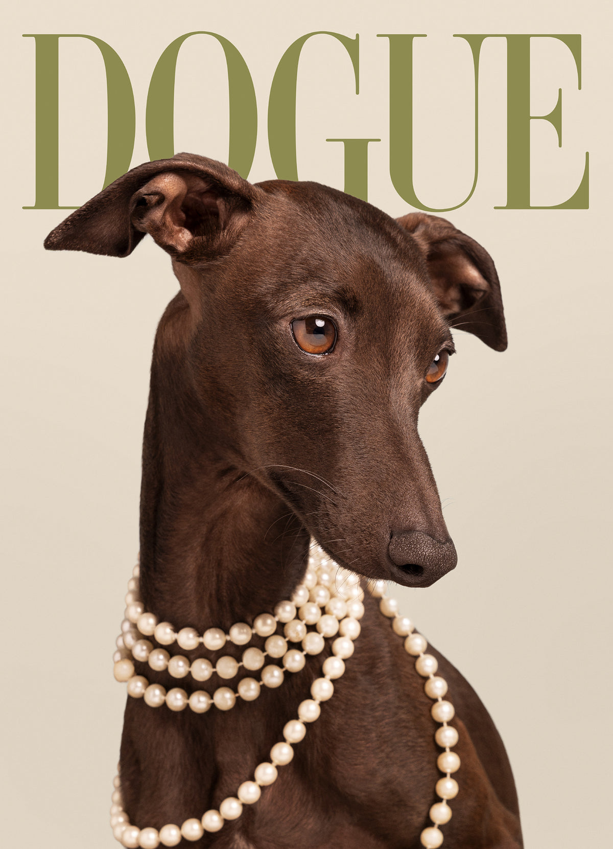 Dogue No5 Print