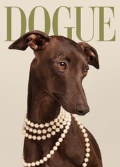 Dogue No5 Print