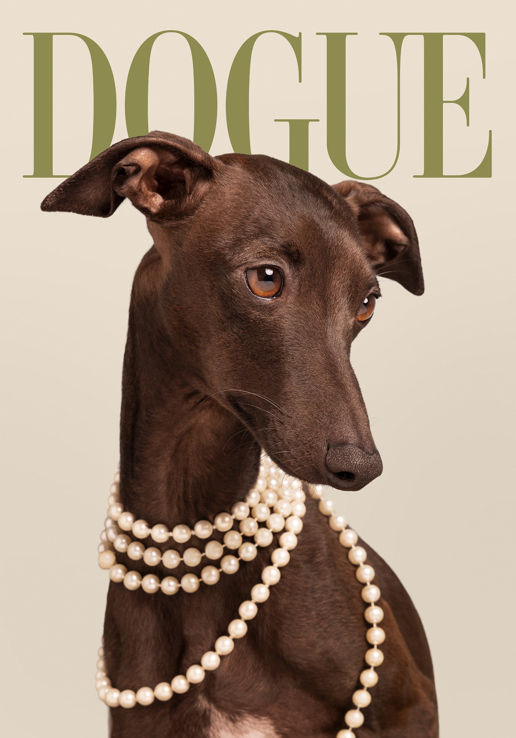 Dogue No5 Print