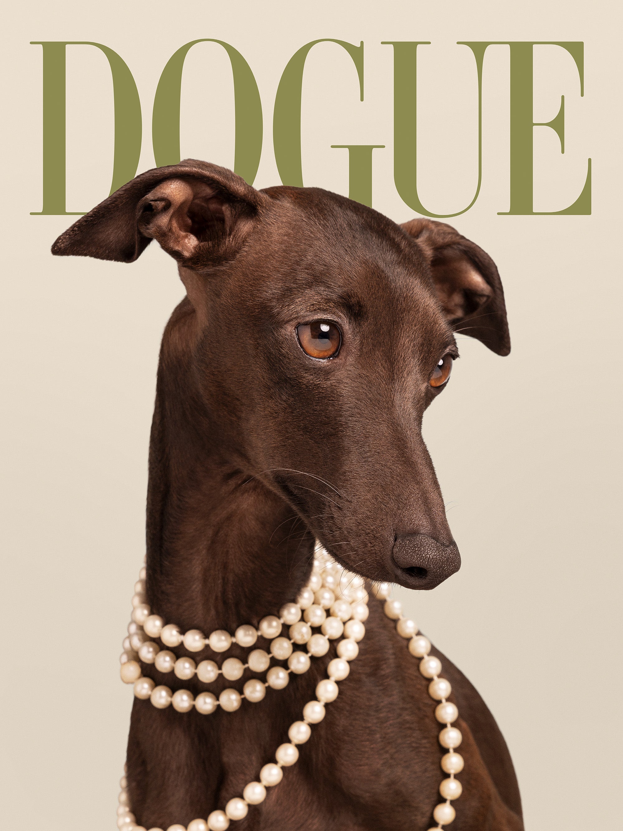 Dogue No5 Print