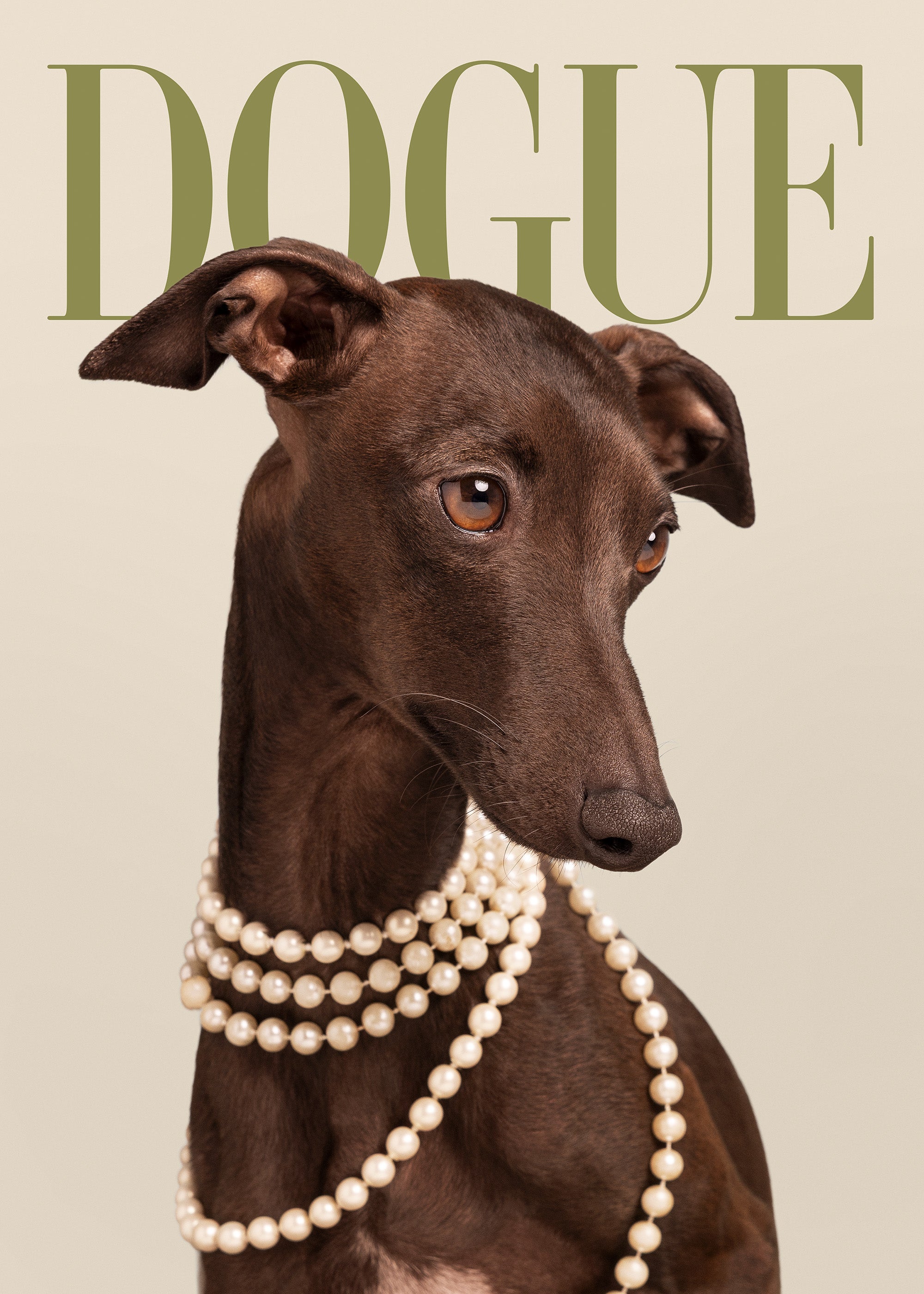 Dogue No5 Print