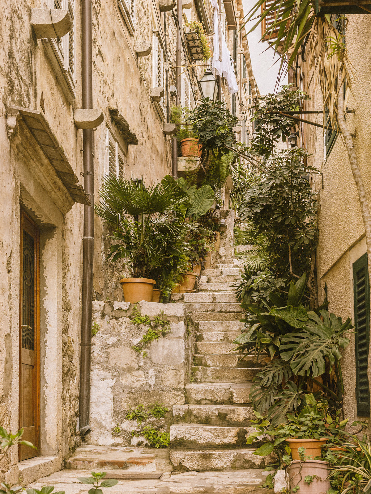 The Old Alley Print