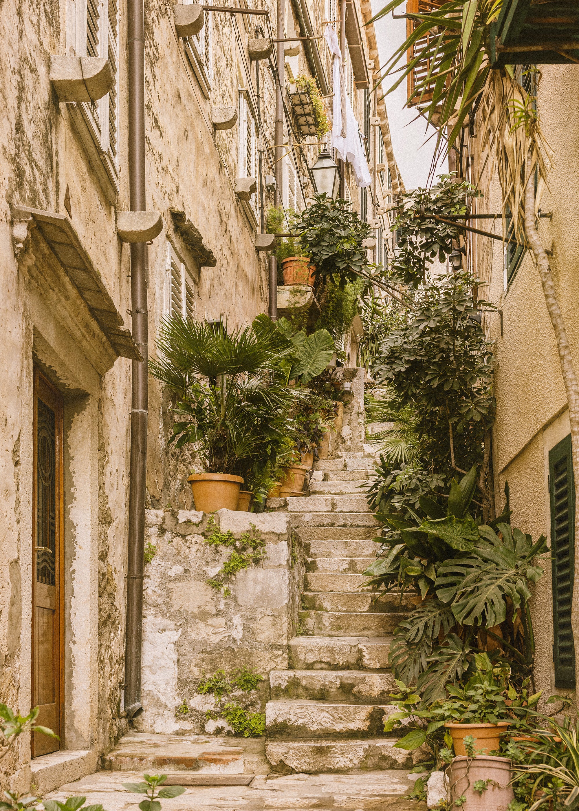 The Old Alley Print