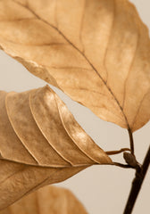 Fading Leaves Print