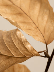 Fading Leaves Print