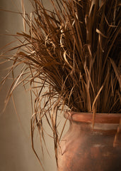 Grass Bouquet Print